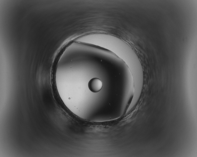 X0000086310244200704131637