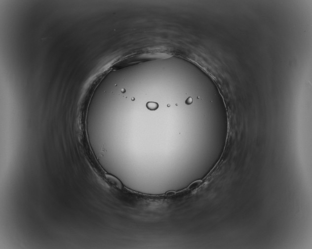 X0000086310245200704131638