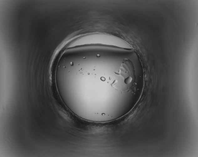 X0000086310246200704131638