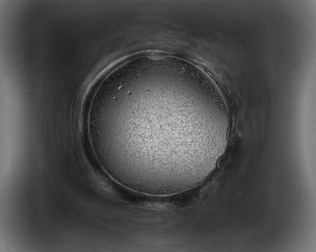 X0000086310247200704131638