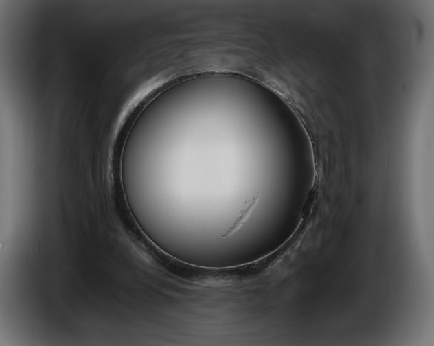 X0000086310248200704131638