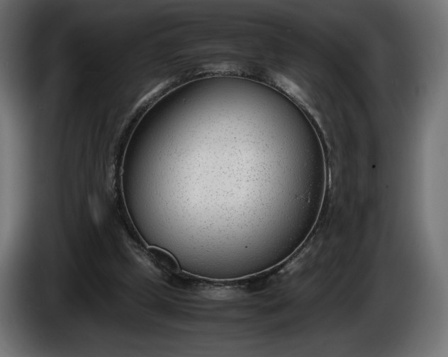 X0000086310249200704131638