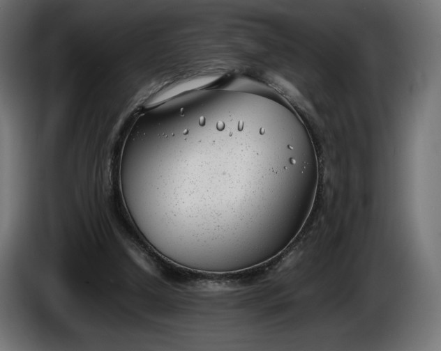 X0000086310250200704131638