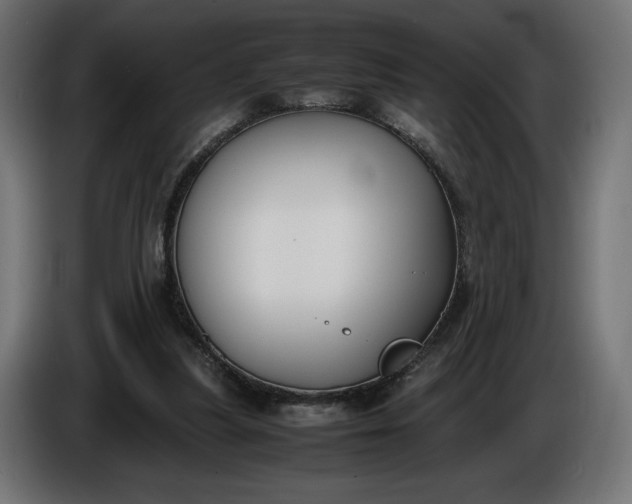 X0000086310251200704131638