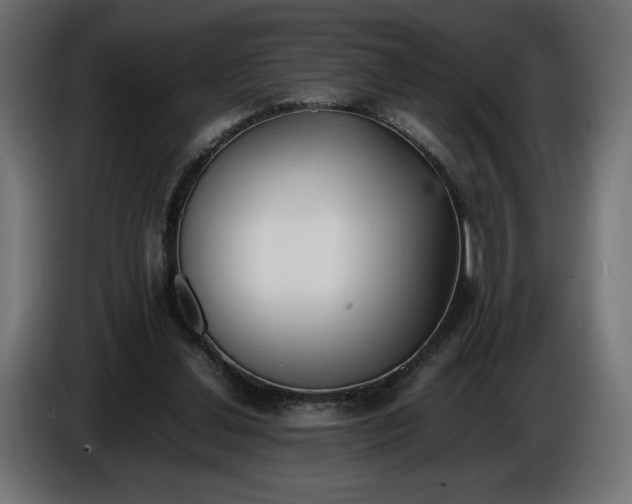 X0000086310252200704131638