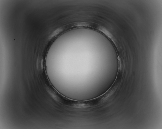 X0000086310253200704131638