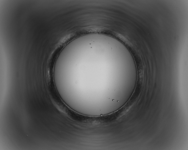 X0000086310254200704131638