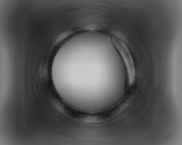 X0000086310256200704131638