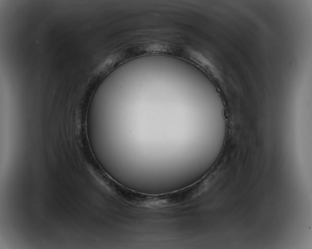 X0000086310257200704131638