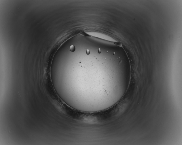 X0000086310258200704131638