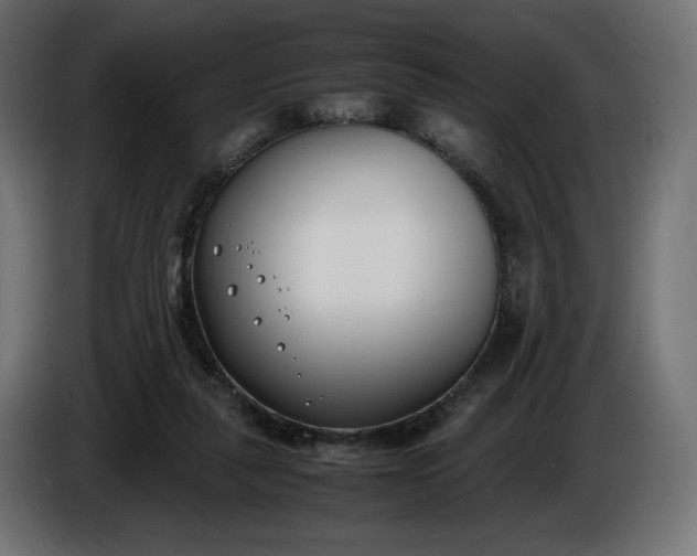X0000086310259200704131638