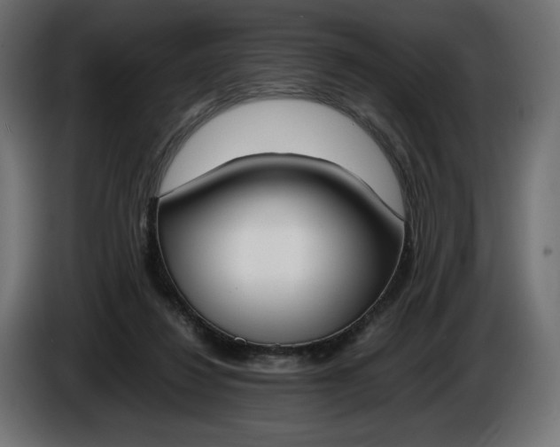 X0000086310260200704131638