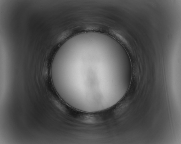 X0000086310261200704131638