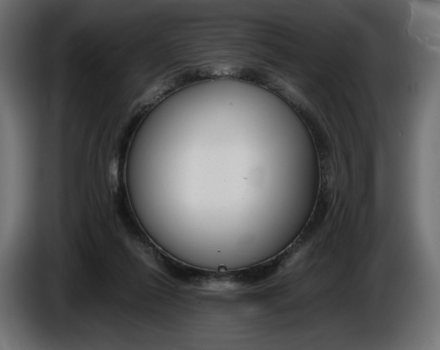 X0000086310262200704131638