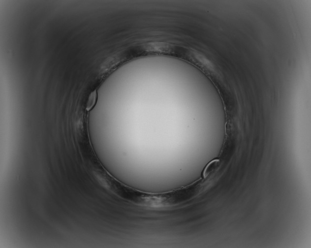 X0000086310265200704131638