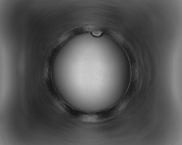 X0000086310266200704131638