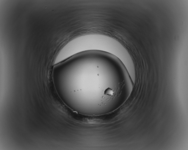 X0000086310268200704131638