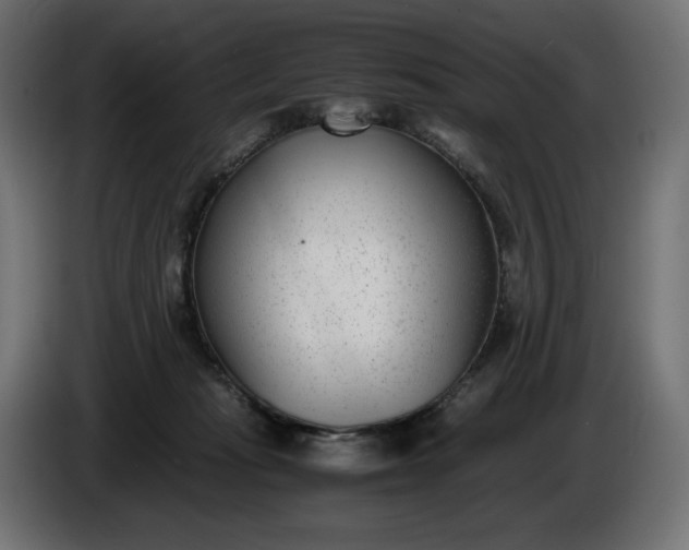 X0000086310269200704131638