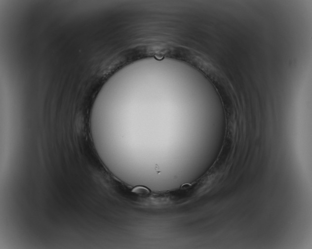 X0000086310270200704131638