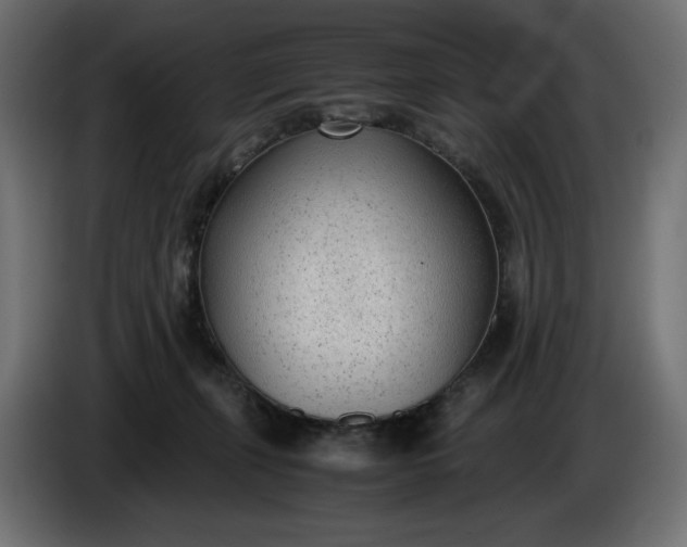X0000086310271200704131638