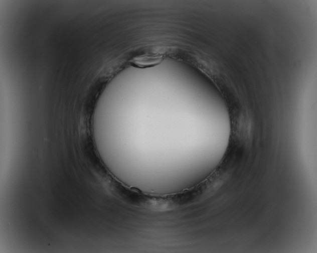 X0000086310272200704131638