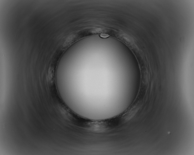 X0000086310273200704131638