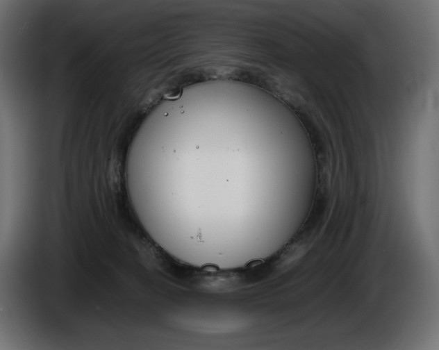 X0000086310274200704131638