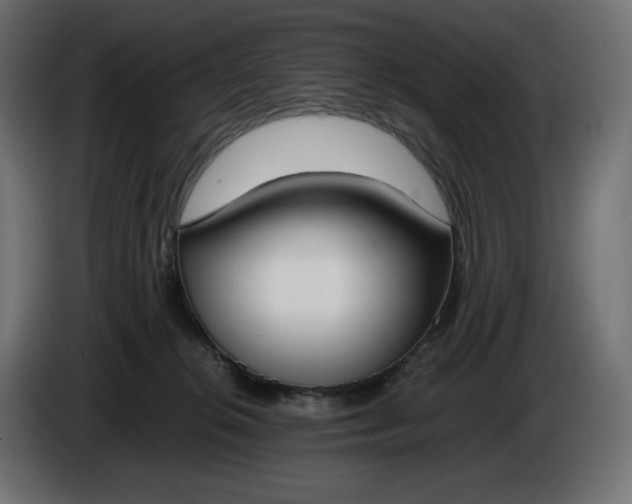 X0000086310276200704131638