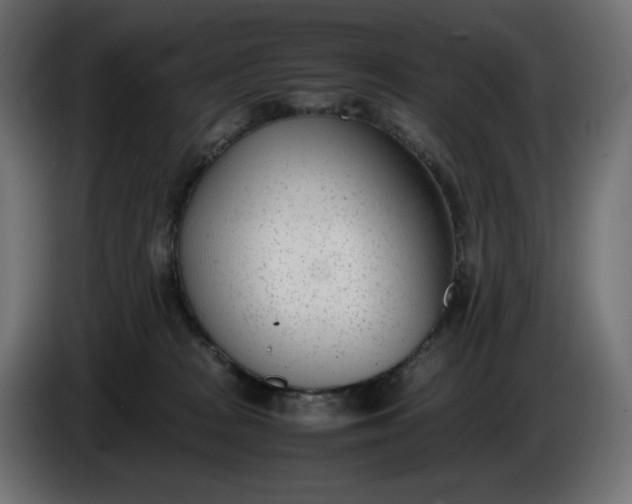X0000086310277200704131638