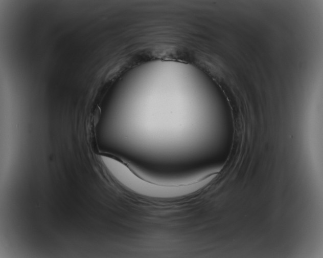 X0000086310280200704131638