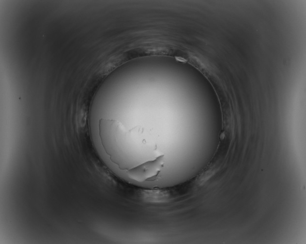 X0000086310281200704131638