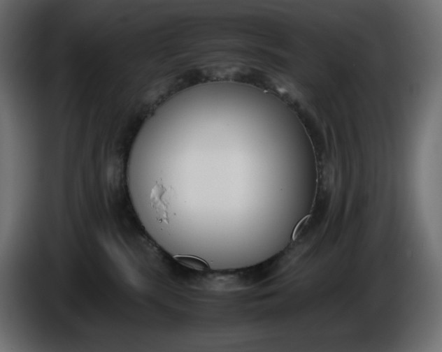 X0000086310283200704131638