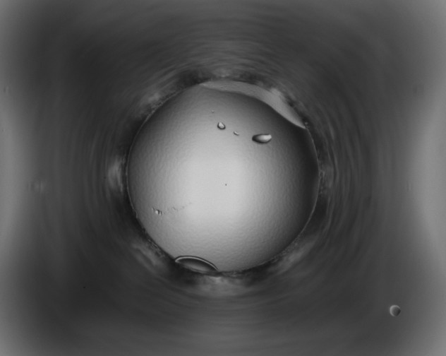 X0000086310286200704131638