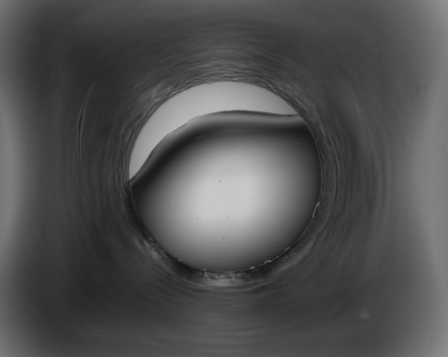 X0000086310288200704131638