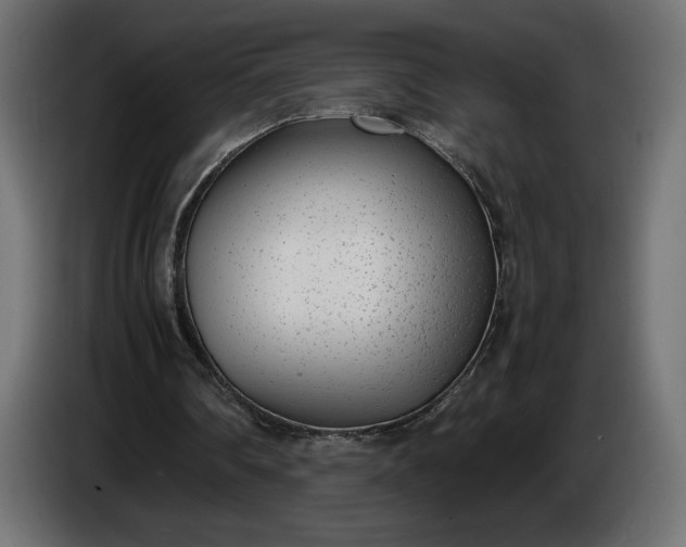 X0000086310290200704131637