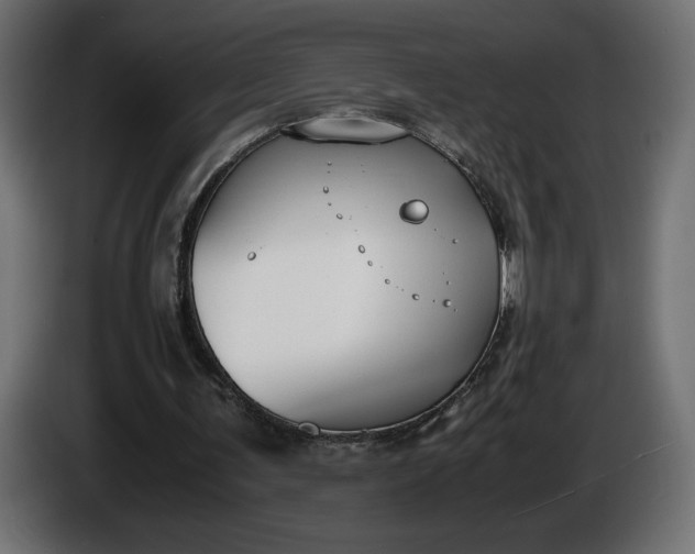 X0000086310291200704131637