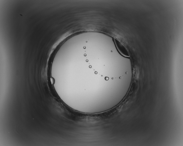 X0000086310292200704131637