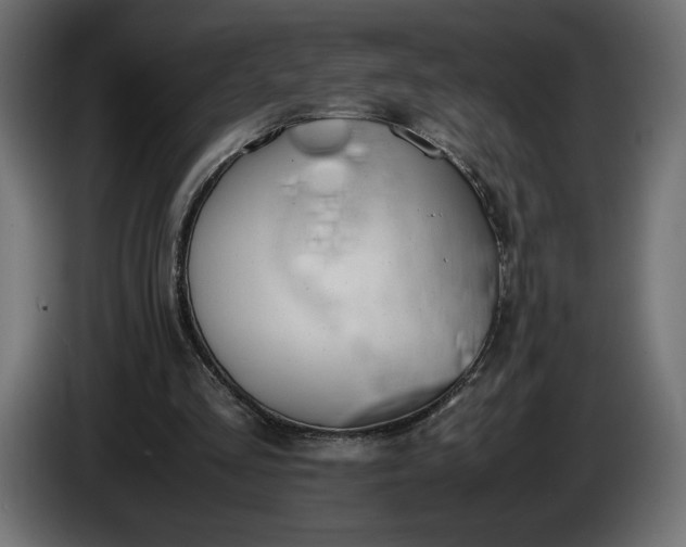 X0000086310293200704131637