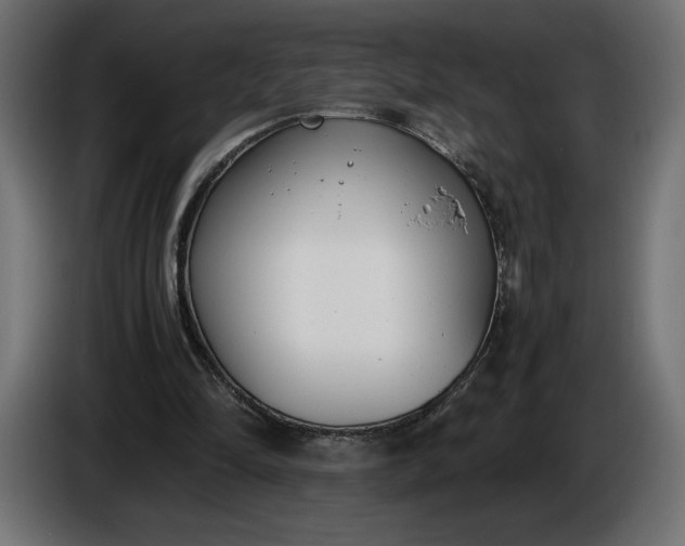 X0000086310294200704131637
