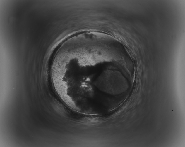 X0000086310295200704131637