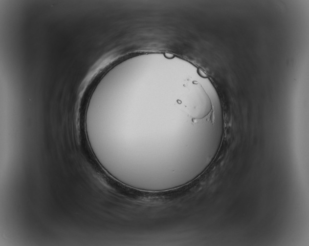 X0000086310296200704131637