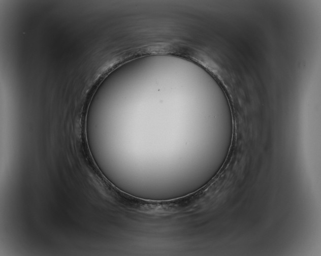 X0000086310297200704131637