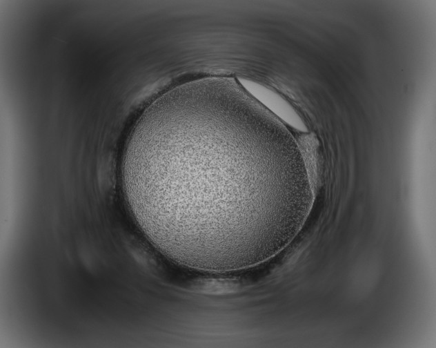 X0000086310303200704131637
