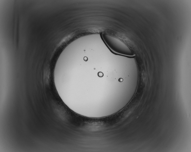 X0000086310304200704131637