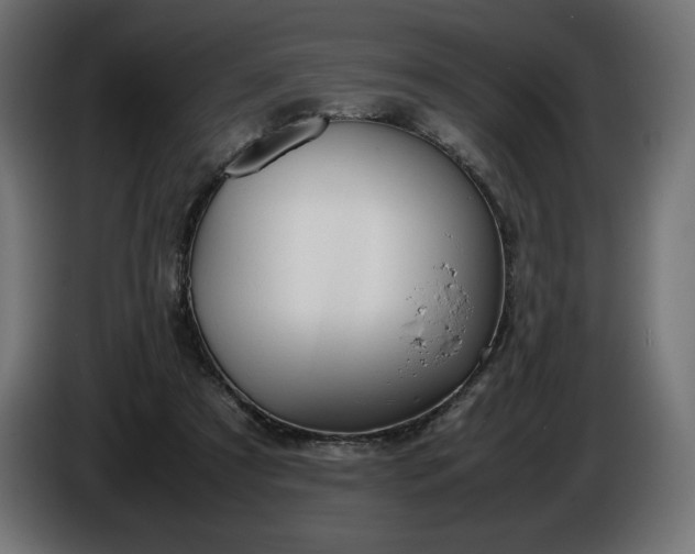 X0000086310305200704131637