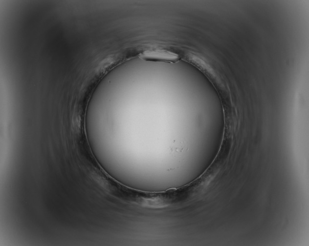 X0000086310309200704131637