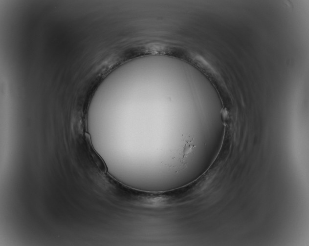 X0000086310313200704131637