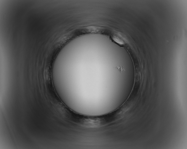 X0000086310317200704131637