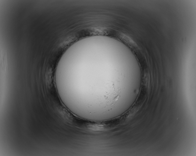 X0000086310318200704131637