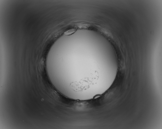 X0000086310321200704131637